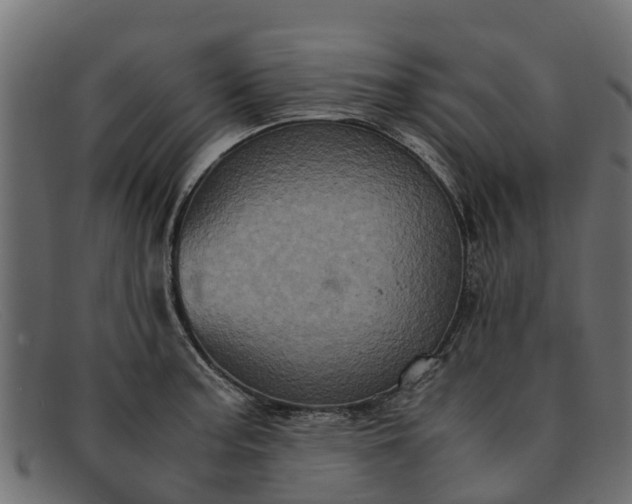 X0000091941187200709191414