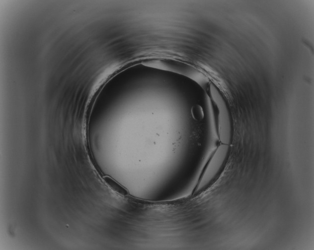 X0000091941188200709191414