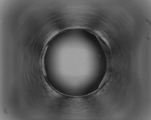 X0000091941189200709191414