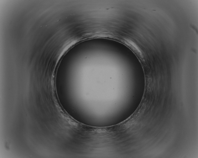 X0000091941190200709191414