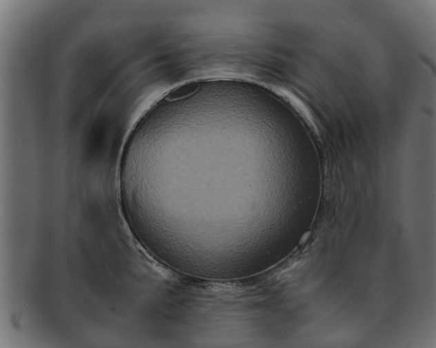 X0000091941191200709191414