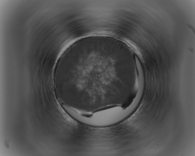 X0000091941192200709191414