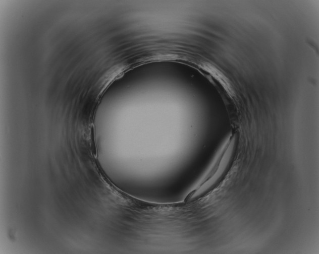 X0000091941193200709191414