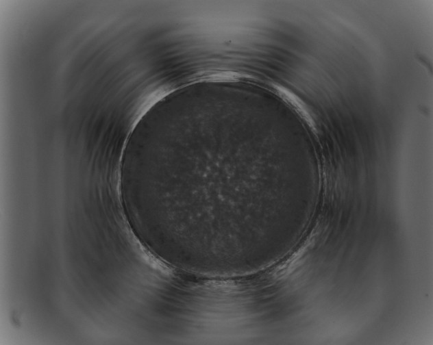 X0000091941194200709191414