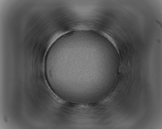 X0000091941195200709191414