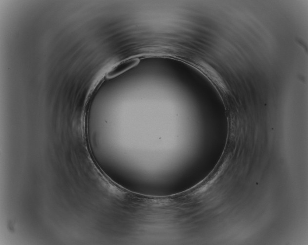 X0000091941196200709191414