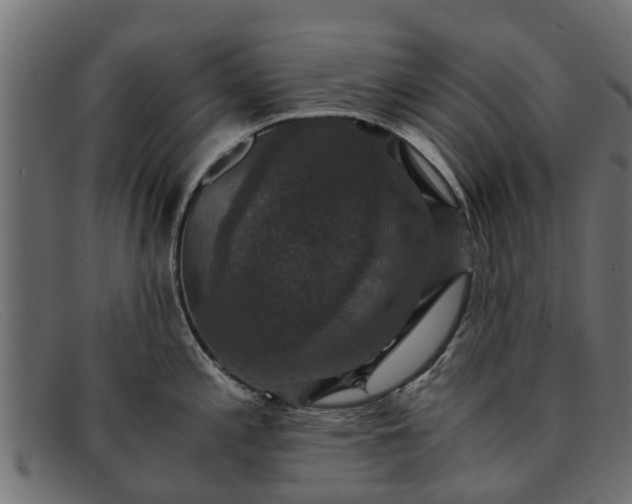 X0000091941197200709191414