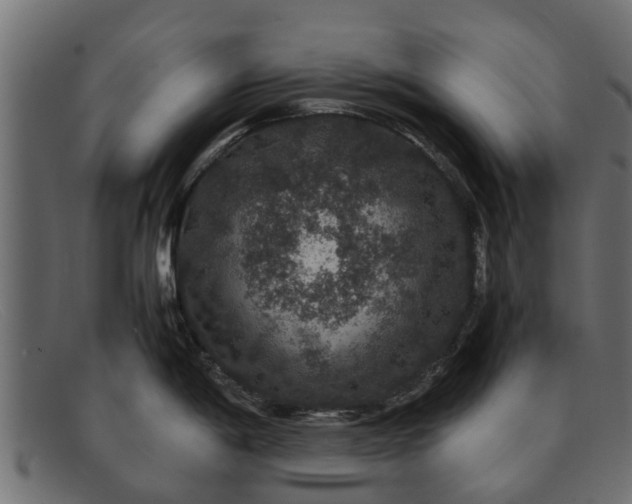 X0000091941198200709191414