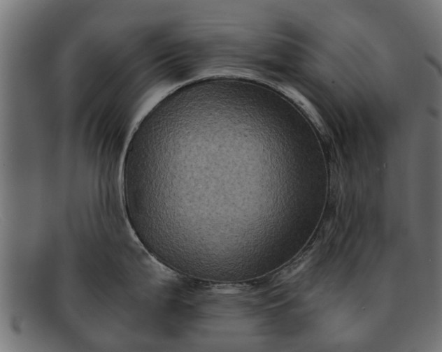 X0000091941199200709191414