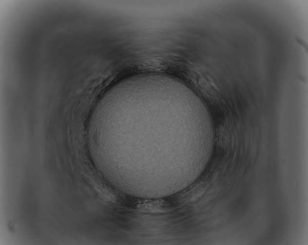 X0000091941201200709191413