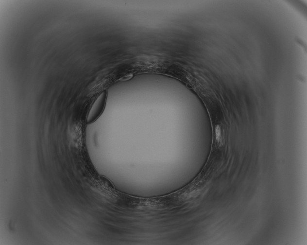 X0000091941203200709191413