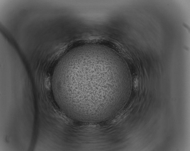 X0000091941204200709191413