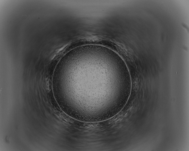 X0000091941205200709191413