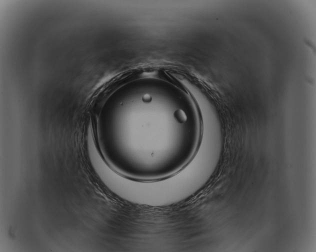 X0000091941206200709191413