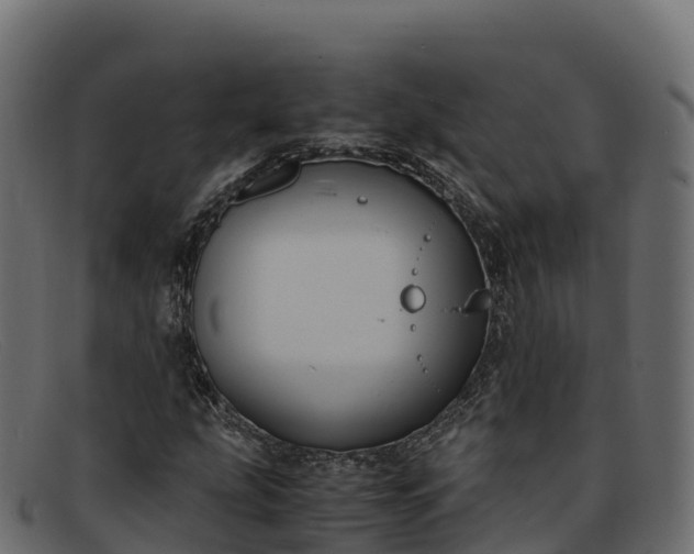 X0000091941207200709191413