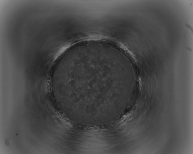 X0000091941208200709191413