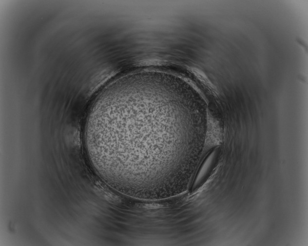 X0000091941209200709191413