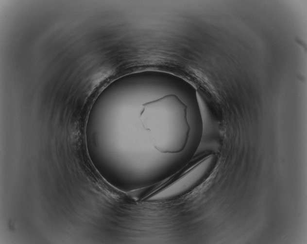 X0000091941210200709191413