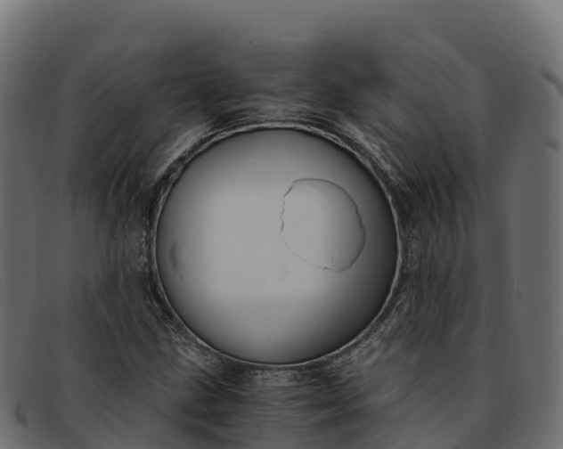 X0000091941211200709191413