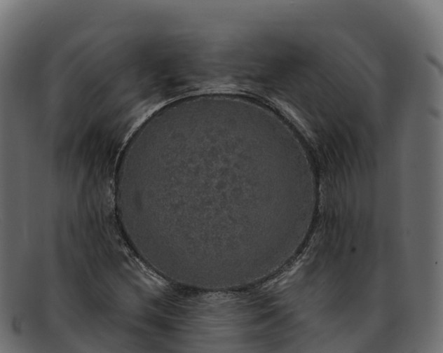 X0000091941212200709191413