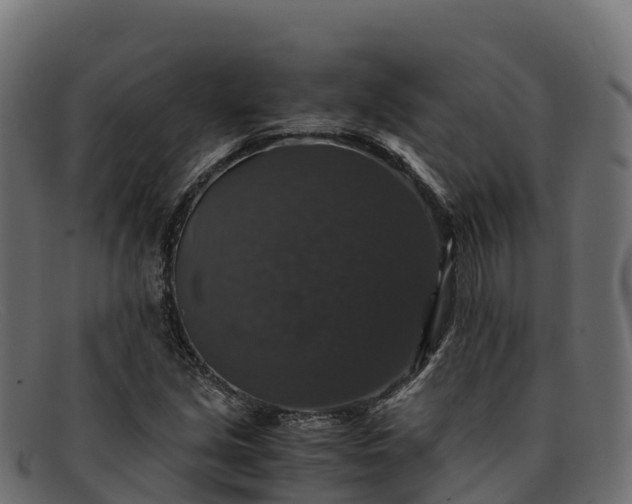 X0000091941213200709191413