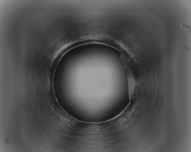 X0000091941214200709191413