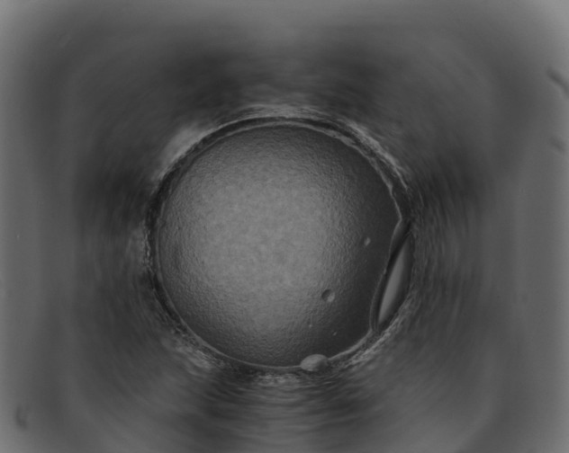 X0000091941215200709191413