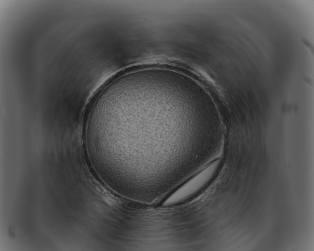 X0000091941216200709191413