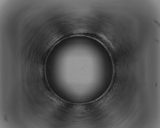 X0000091941217200709191413