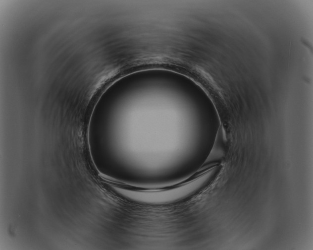 X0000091941218200709191413