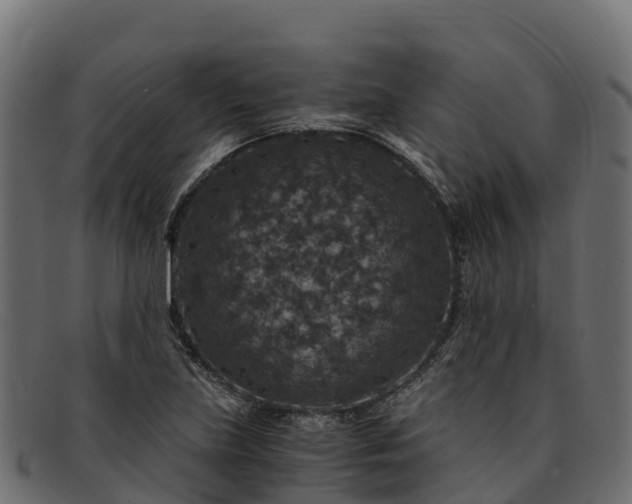 X0000091941219200709191413