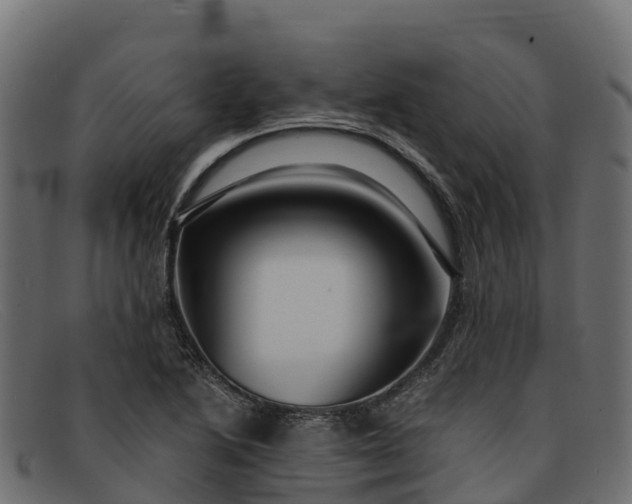 X0000091941222200709191413