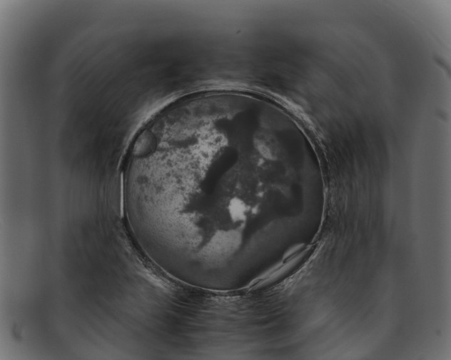 X0000091941223200709191413