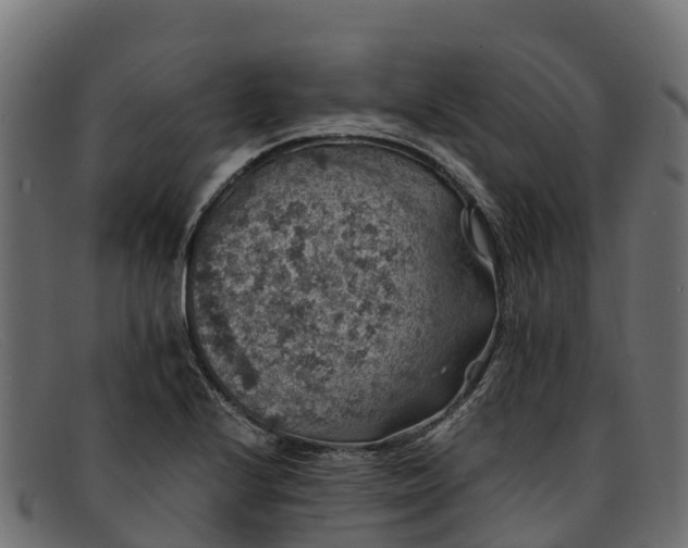 X0000091941224200709191413