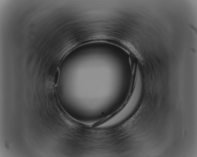 X0000091941225200709191413