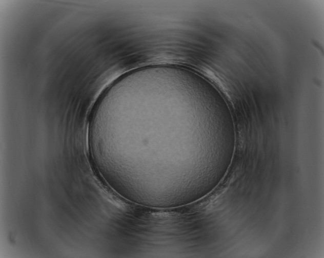 X0000091941227200709191413