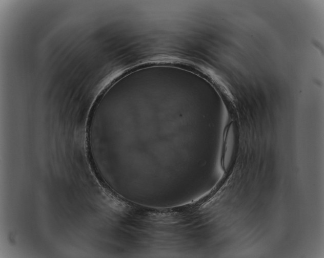 X0000091941229200709191413