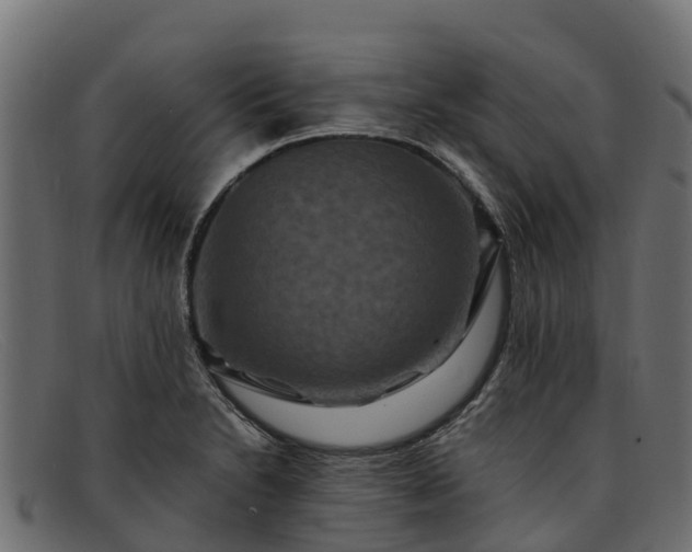 X0000091941230200709191413