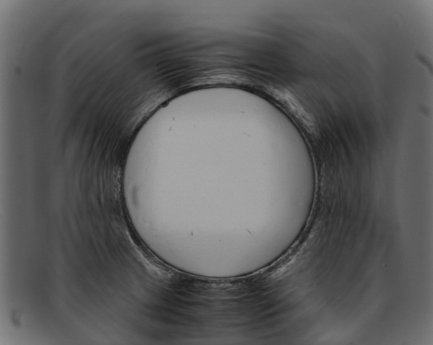 X0000091941233200709191413