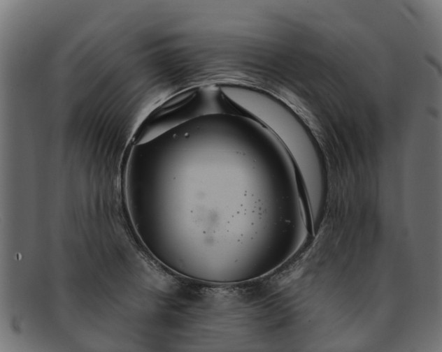 X0000091941234200709191413