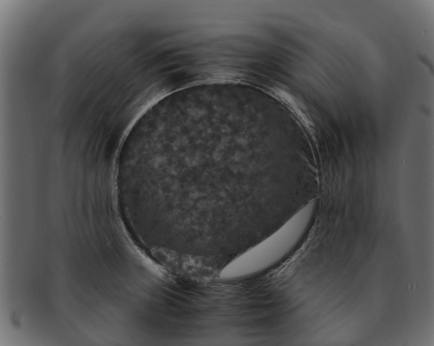 X0000091941235200709191413