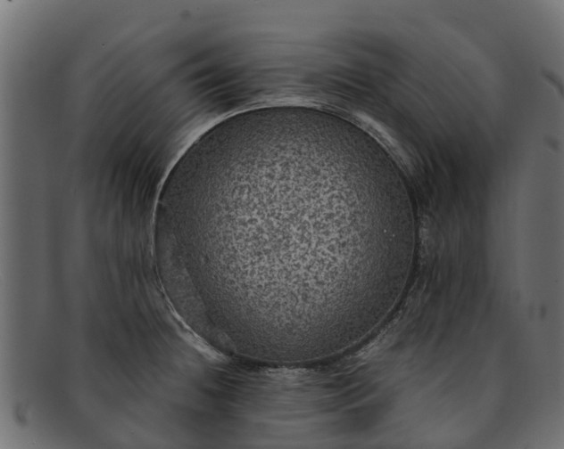 X0000091941236200709191413