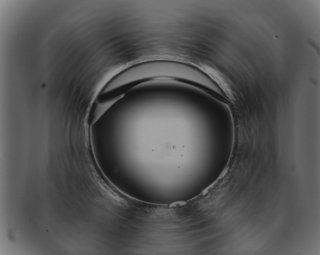 X0000091941238200709191413