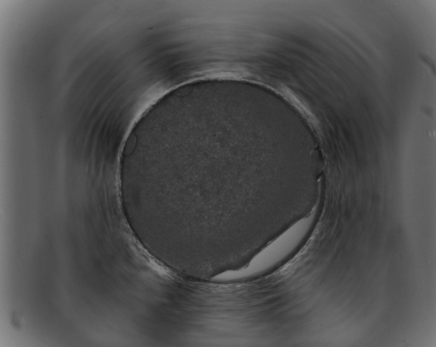 X0000091941240200709191414