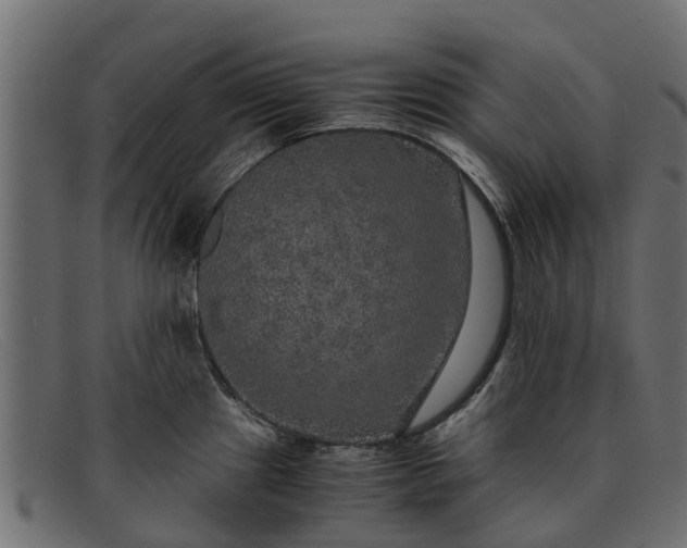 X0000091941241200709191414