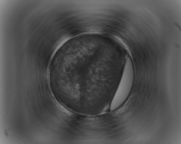 X0000091941243200709191414