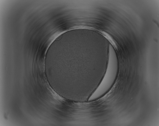 X0000091941244200709191414