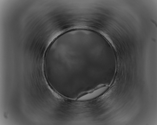 X0000091941245200709191414