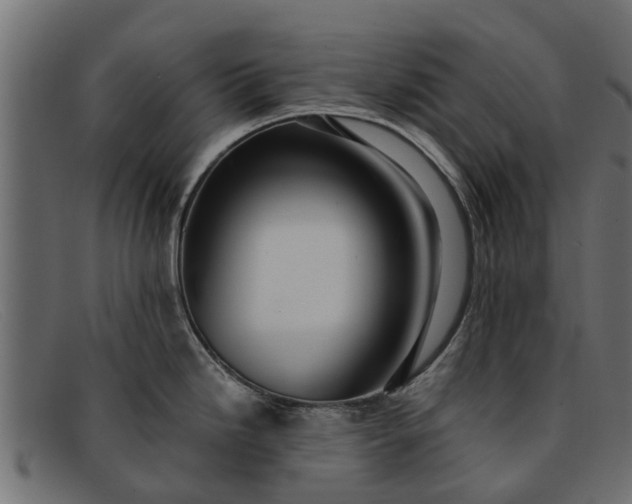 X0000091941246200709191414