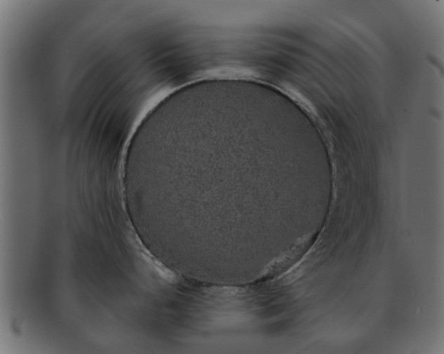 X0000091941248200709191414